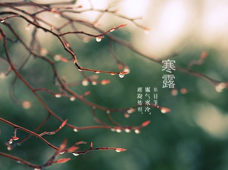 &#20061;&#24030;&#25163;&#26426;&#29256;&#30331;&#24405;&#20837;&#21475;&#45;&#20061;&#24030;&#65288;&#20013;&#22269;&#65289;&#23448;&#26041;&#32593;&#31449;