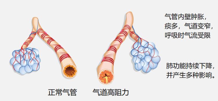 &#20061;&#24030;&#25163;&#26426;&#29256;&#30331;&#24405;&#20837;&#21475;&#45;&#20061;&#24030;&#65288;&#20013;&#22269;&#65289;&#23448;&#26041;&#32593;&#31449;
